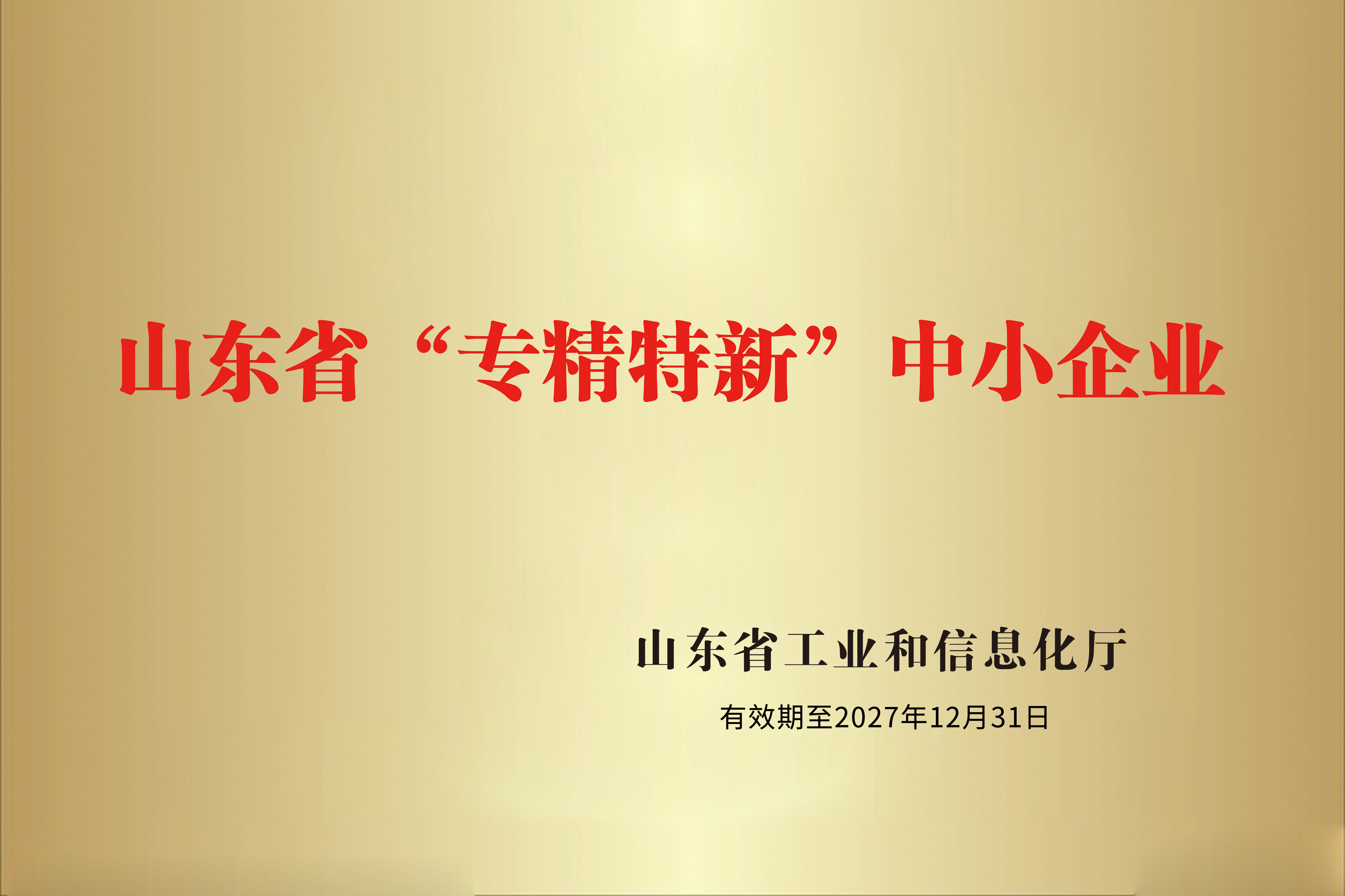 山东省专精特新中小企业